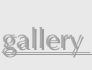shapeimage_2_link_1